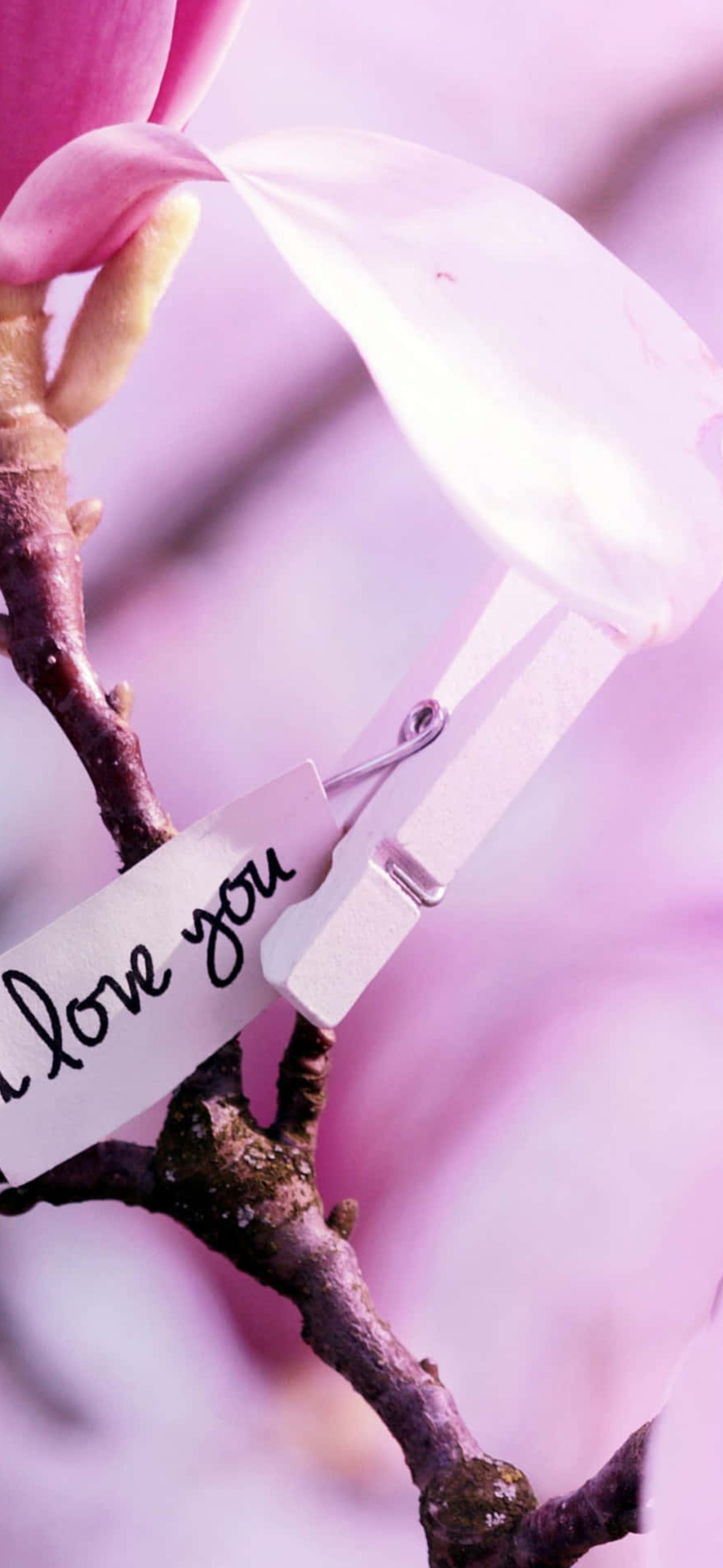 I Love You Magnolia Flower Q Ultra HD iPhone 16 Wallpaper