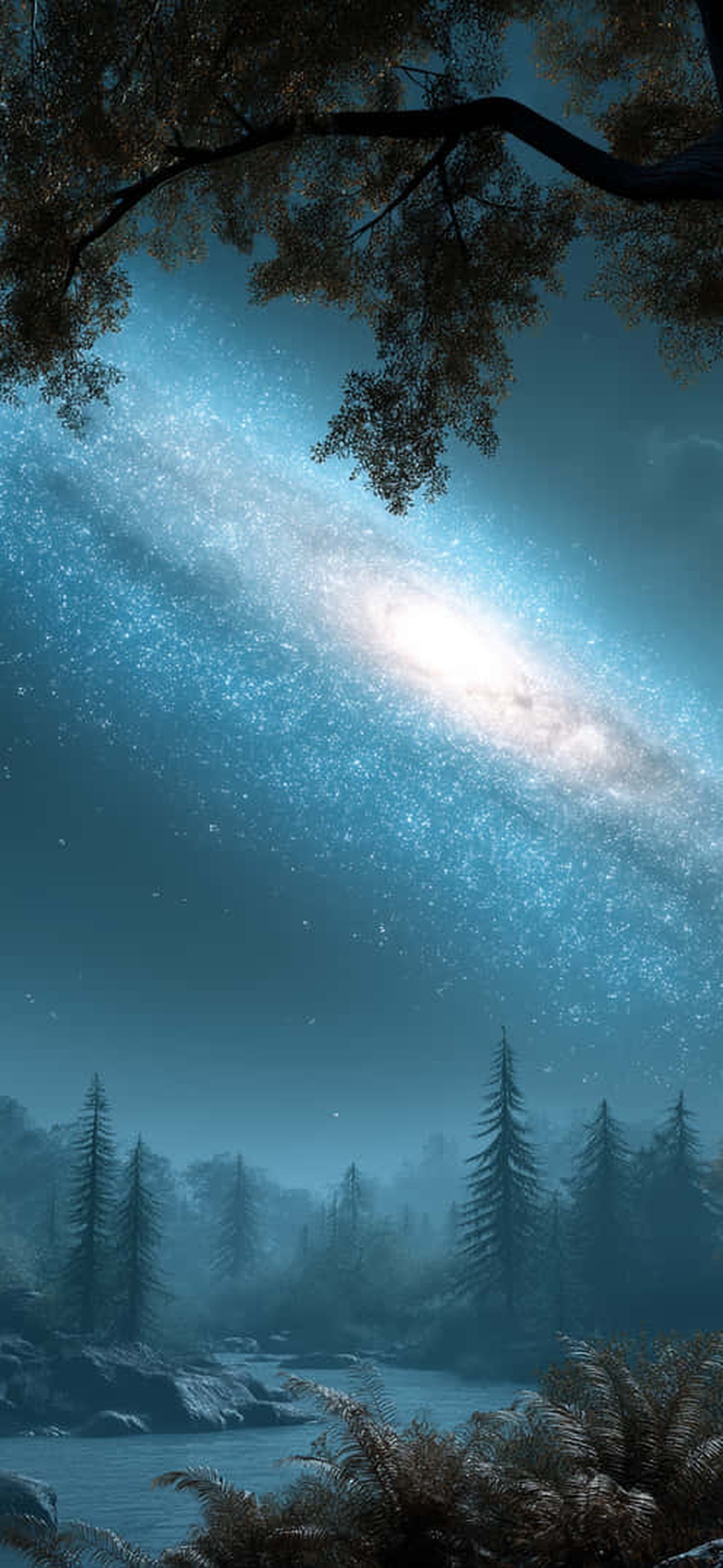 The Milky Way Galaxy Viewed From A Peaceful Forest