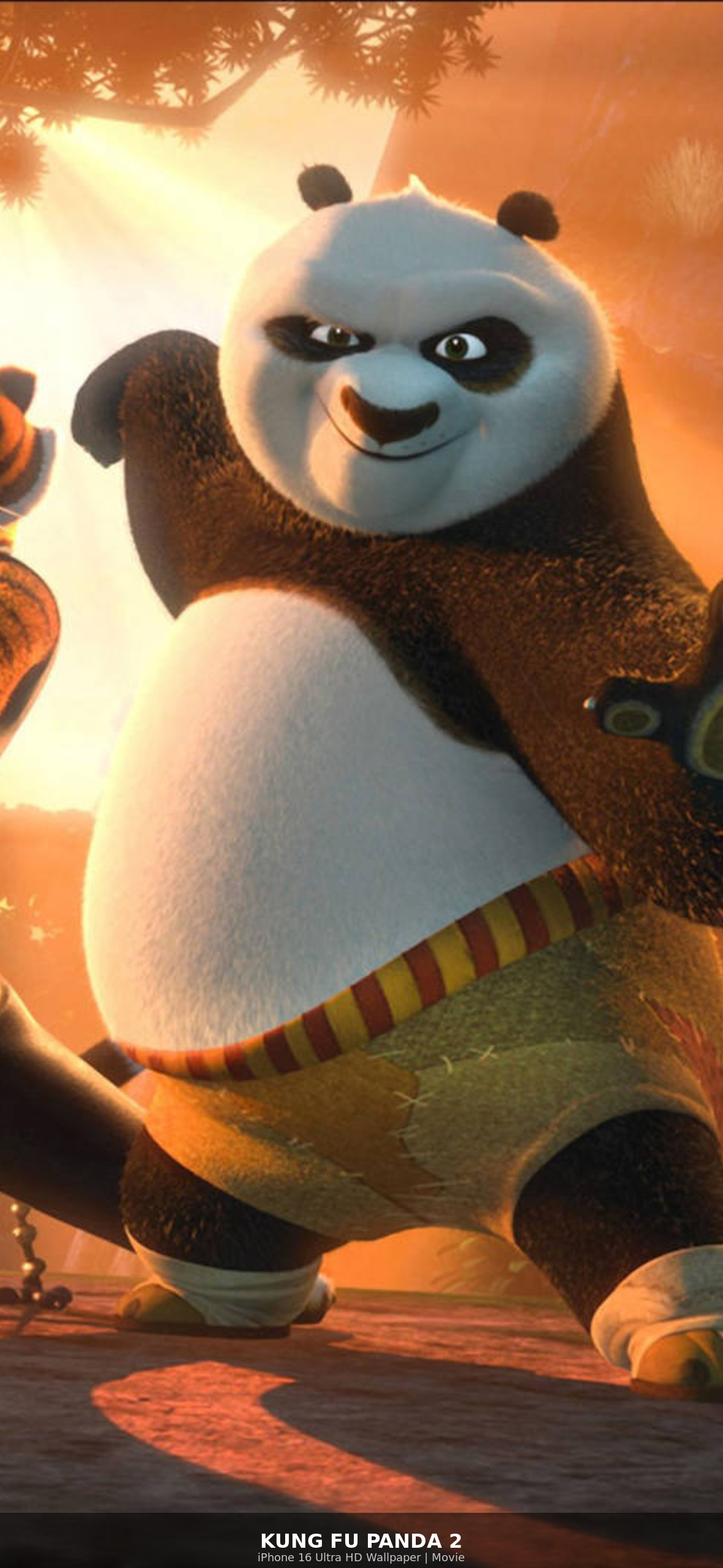 Kung Fu Panda 2 Ultra HD iPhone 16 Movie Wallpaper