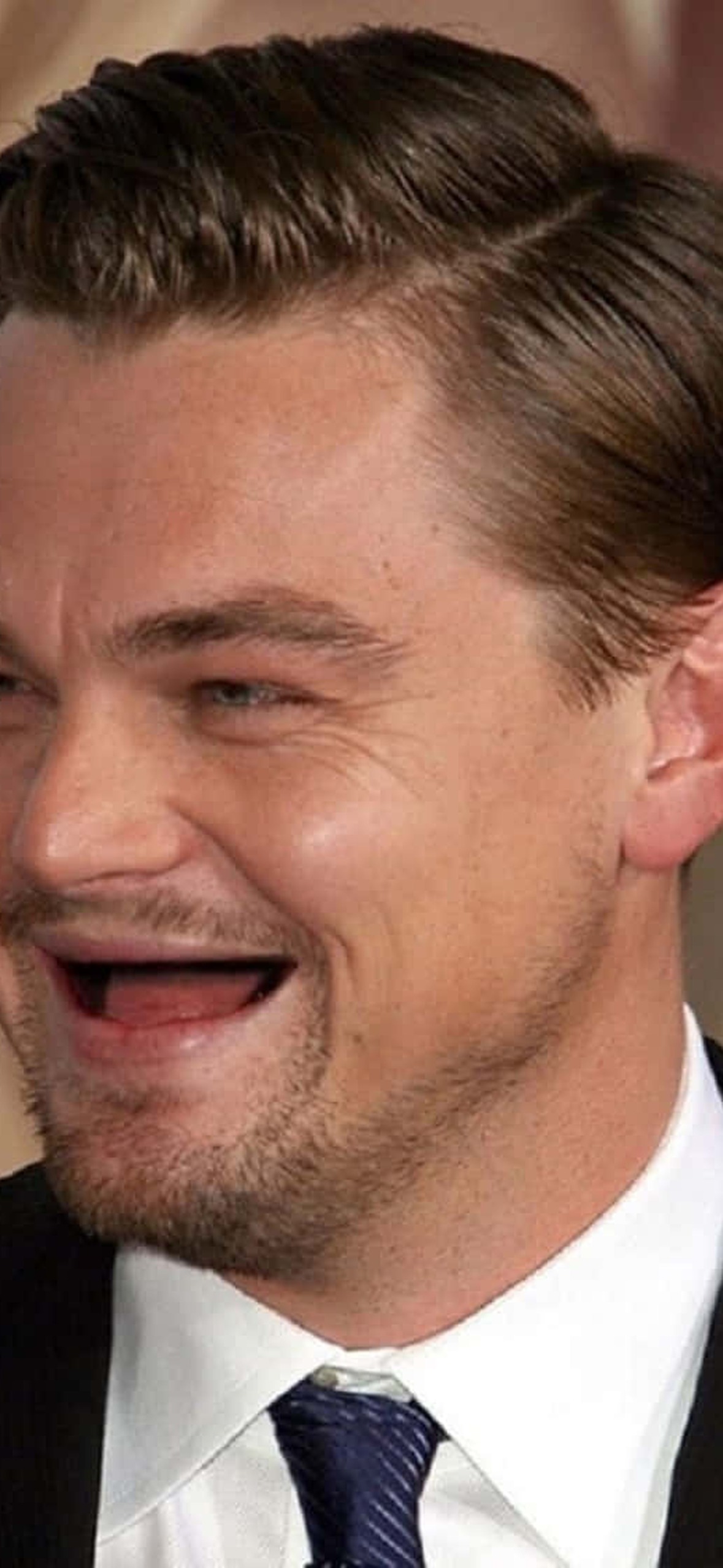 celeb cnrsipdp1e7rojp5